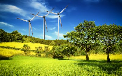 Te koop: Ecological Management Institute BV – Een kans in de energietransitie